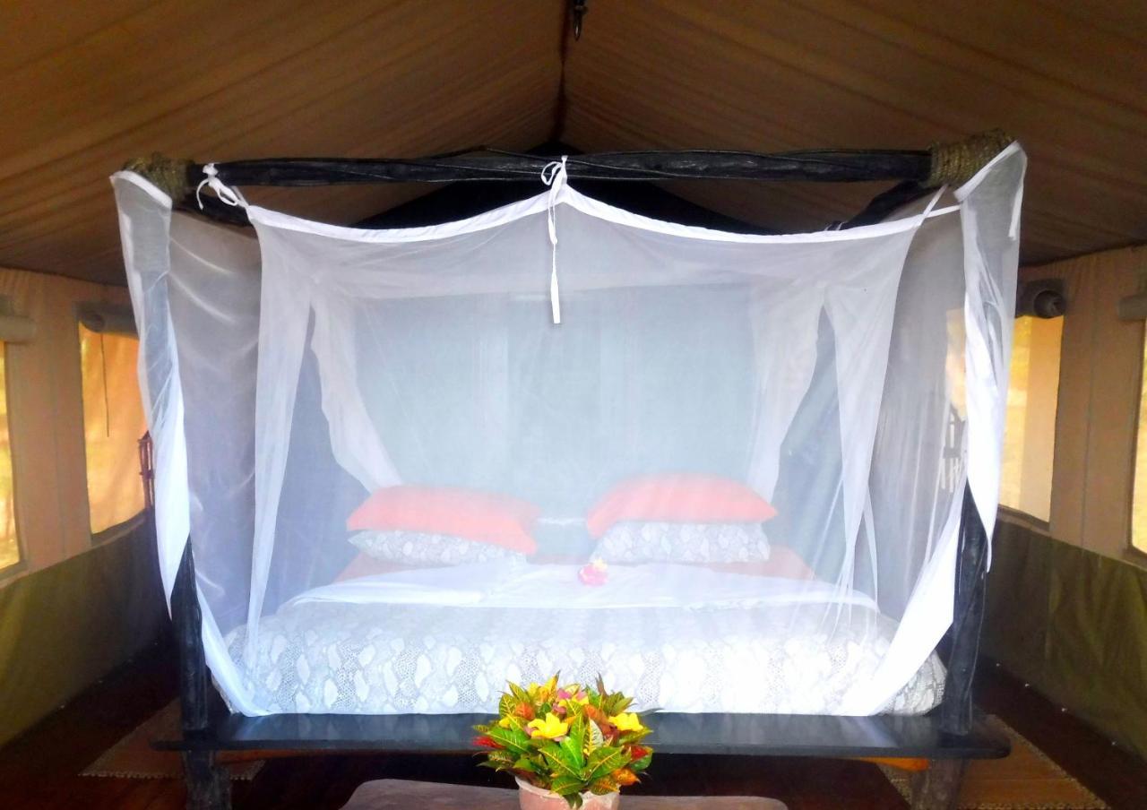 Shimba Hills Green Safari Lodge Kwale Exterior photo